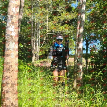Runner Photo 5527
