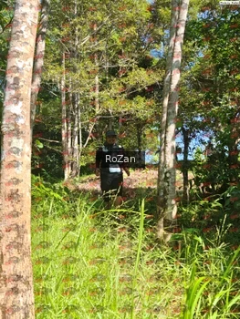 Runner Photo 5528