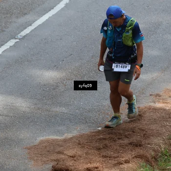 Runner Photo 5528762