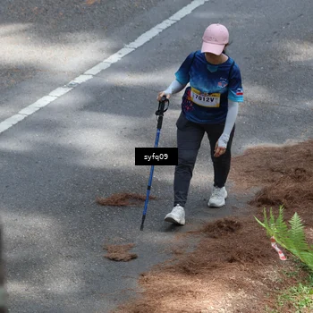 Runner Photo 5528927