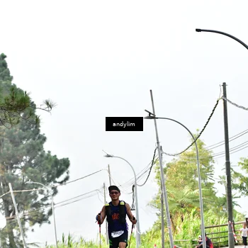 Runner Photo 5529031