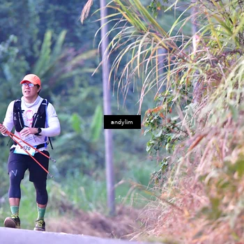 Runner Photo 5529091