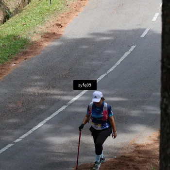 Runner Photo 5529317