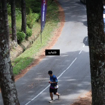 Runner Photo 5529361