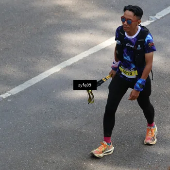 Runner Photo 5529684