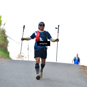 Runner Photo 5530025