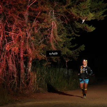 Runner Photo 5530148
