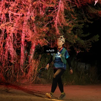 Runner Photo 5530243