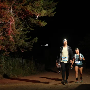 Runner Photo 5530245
