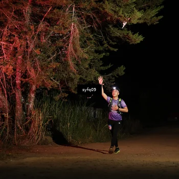 Runner Photo 5530257