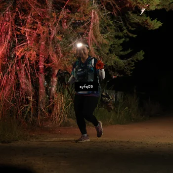 Runner Photo 5530261