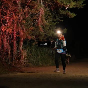 Runner Photo 5530323