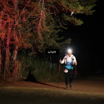 Runner Photo 5530343