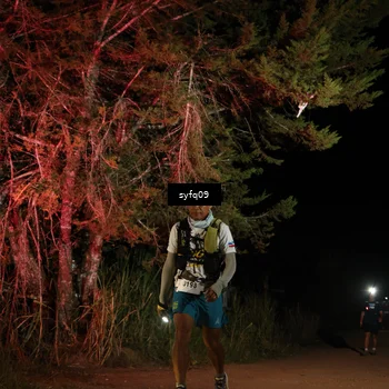 Runner Photo 5530384