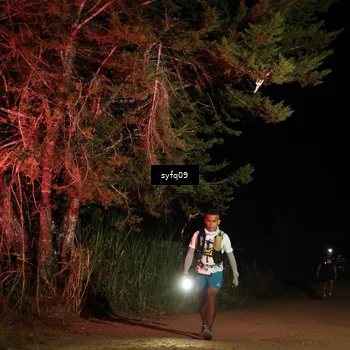 Runner Photo 5530391