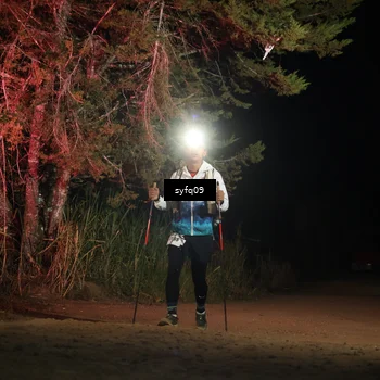 Runner Photo 5530411