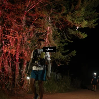 Runner Photo 5530470