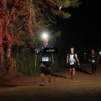 Runner Photo 5530546
