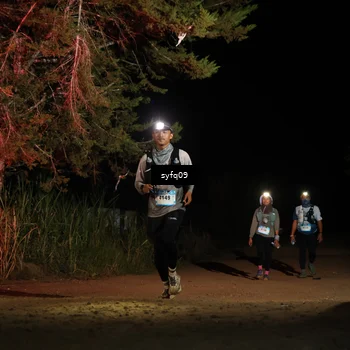 Runner Photo 5530622