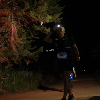 Runner Photo 5530670