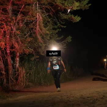 Runner Photo 5530687