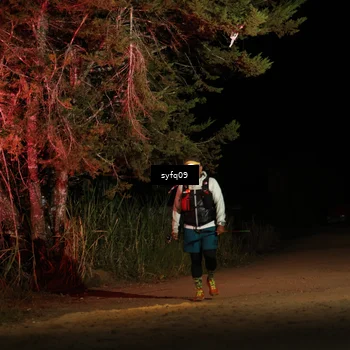 Runner Photo 5530737