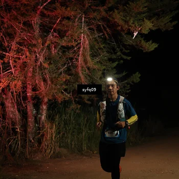 Runner Photo 5530738