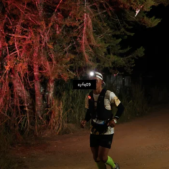 Runner Photo 5530754