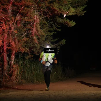 Runner Photo 5530799