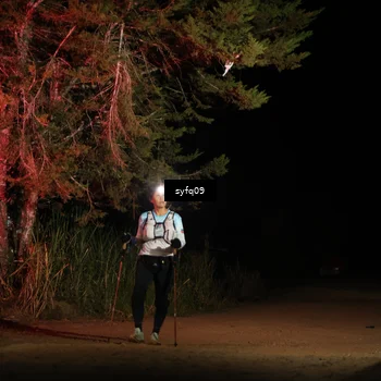 Runner Photo 5530819