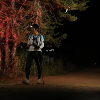 Runner Photo 5530847