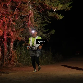 Runner Photo 5530854