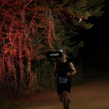 Runner Photo 5530898