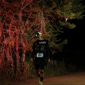 Runner Photo 5530926