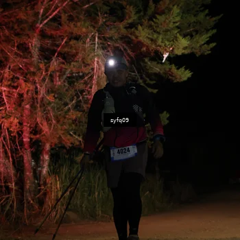 Runner Photo 5530929