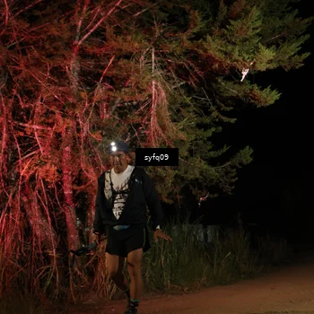 Runner Photo 5530931