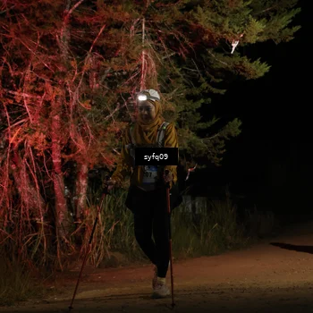 Runner Photo 5530938