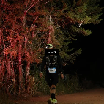 Runner Photo 5530948