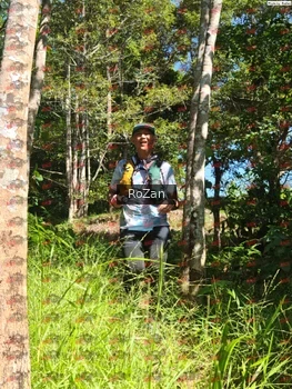 Runner Photo 5531