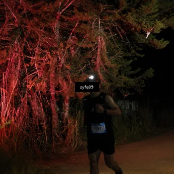 Runner Photo 5531009
