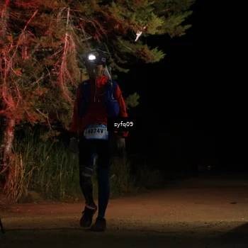 Runner Photo 5531020