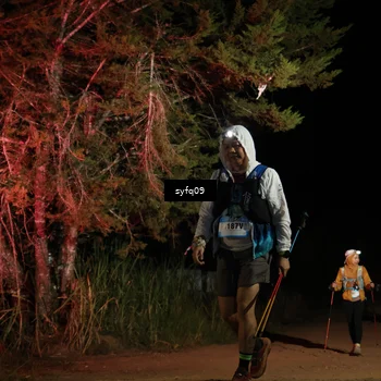 Runner Photo 5531026
