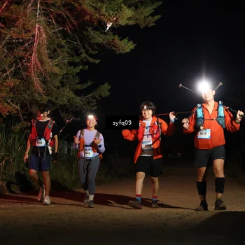 Runner Photo 5531141