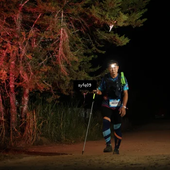 Runner Photo 5531165