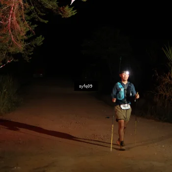 Runner Photo 5531245