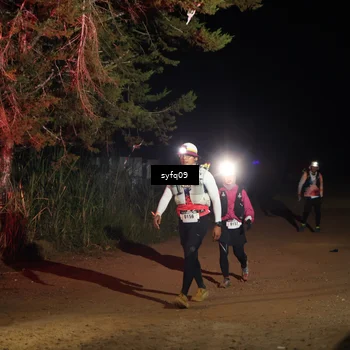 Runner Photo 5531289