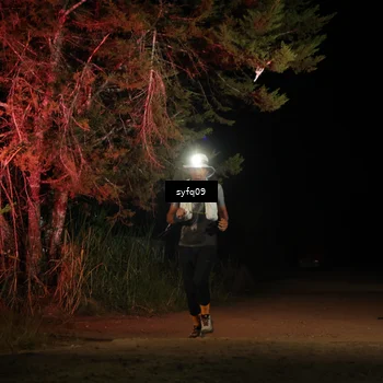 Runner Photo 5531377