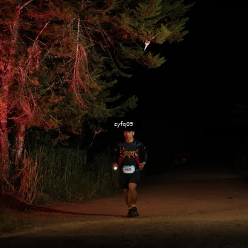 Runner Photo 5531382