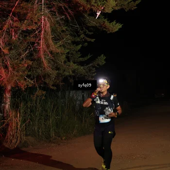 Runner Photo 5531387