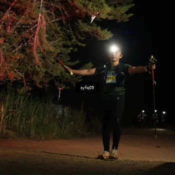 Runner Photo 5531534